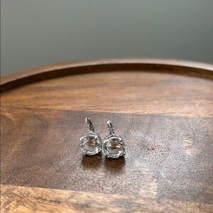 Elegant Silver Earrings